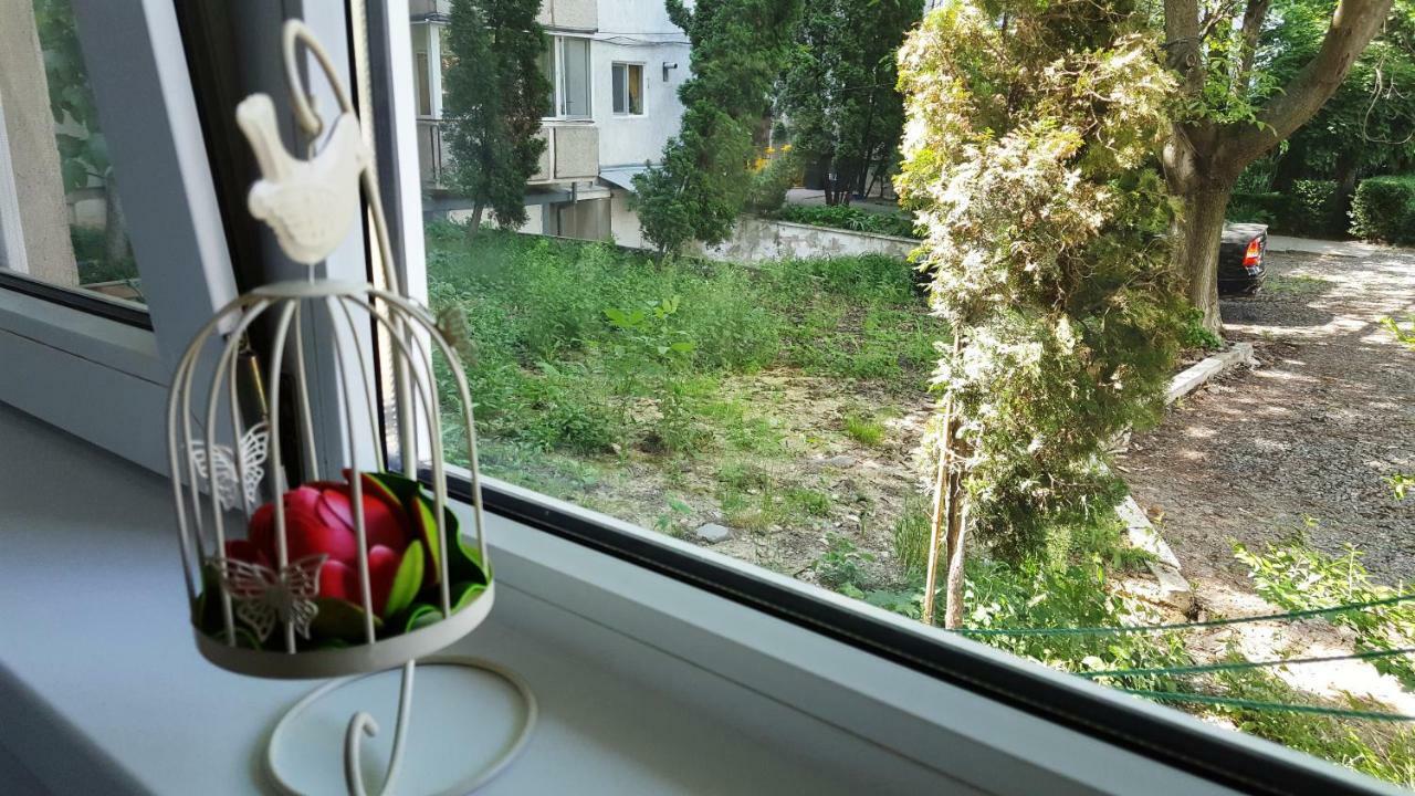 Apartment  Timişoara Exterior foto